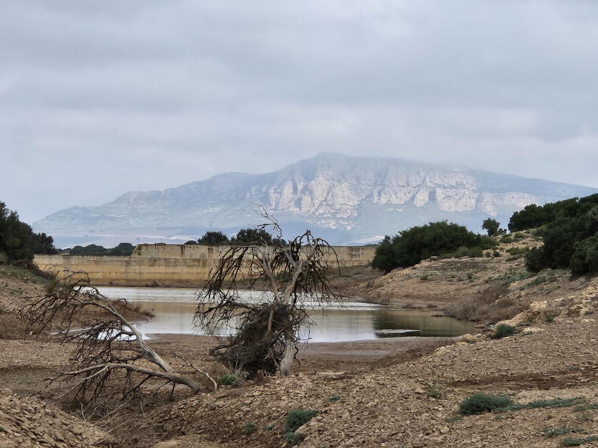 Finca Las Botas Алманса Екстериор снимка